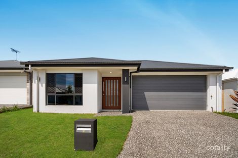 8 Satinash St, Park Ridge, QLD 4125