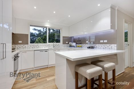 Property photo of 16 Braewood Avenue Ringwood East VIC 3135