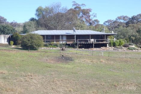 1134 Pulletop Rd, Big Springs, NSW 2650