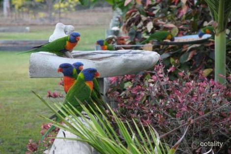 Property photo of 5 Duroy Street Mount Low QLD 4818