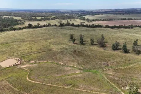 4436 Warrumbungles Way, Binnaway, NSW 2395