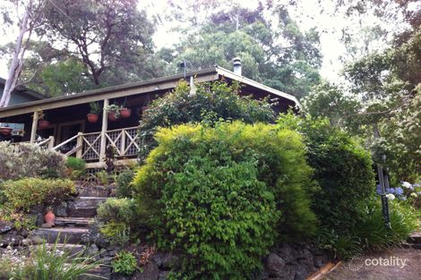 19 Belvedere Tce, Lorne, VIC 3232