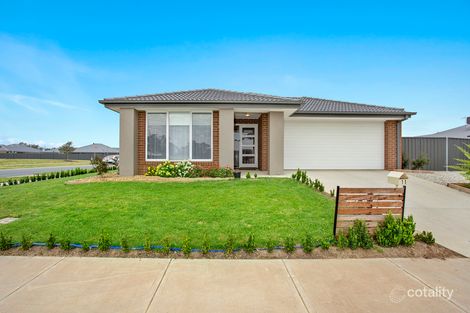 Property photo of 11 Rooney Avenue Killara VIC 3691