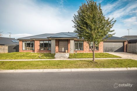 Property photo of 12 Archer Way Bannockburn VIC 3331