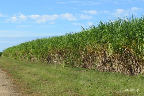 104 Burstall Rd, Airdmillan, QLD 4807