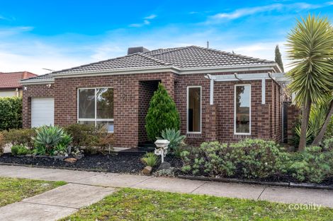 81 Cradle Mountain Dr, Craigieburn, VIC 3064