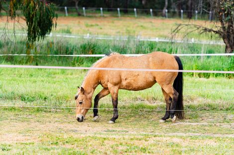 Property photo of 13 Poplar Road Lake Albert NSW 2650