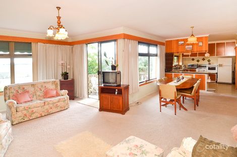 Property photo of 22 Graylea Avenue Herne Hill VIC 3218