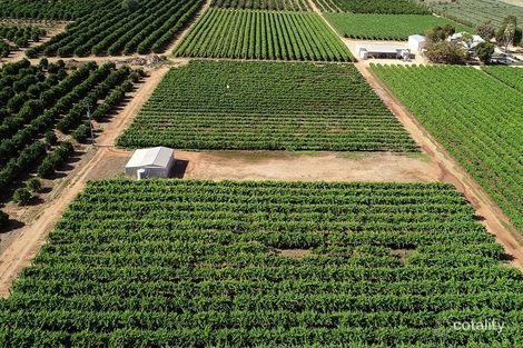 Lot 514 Vasey Rd, Waikerie, SA 5330