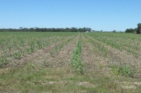 536 Voss Rd, North Gregory, QLD 4660