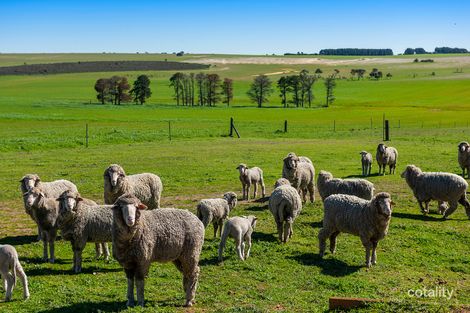 1635 Boundary Rd, Yathroo, WA 6507