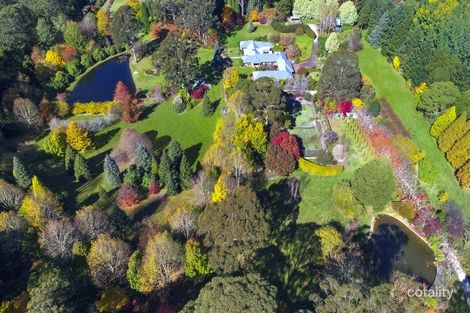 4-10 Beowang Rd, Mount Wilson, NSW 2786