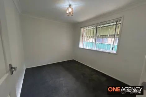 Property photo of 54 Fenton Crescent Minto NSW 2566