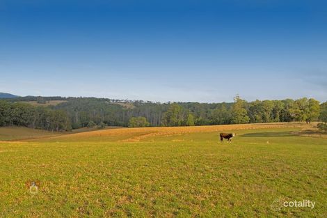 Property photo of 42E Murrays Road Kinglake VIC 3763