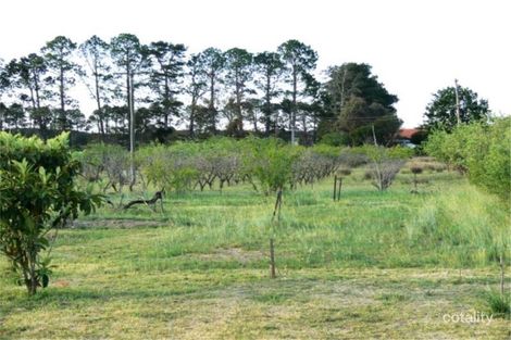 Property photo of 51 Parkers Lane Thulimbah QLD 4376