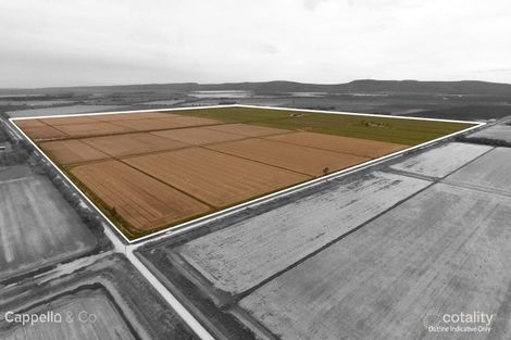 509 Wallace Lane, Myall Park, NSW 2681