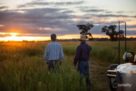 694 Lochnaw Rd, Binnaway, NSW 2395