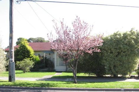 52 Larch Cres, Mount Waverley, VIC 3149