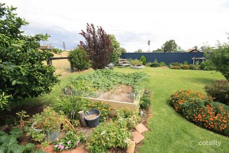 Property photo of 61 Palace Street Denman NSW 2328