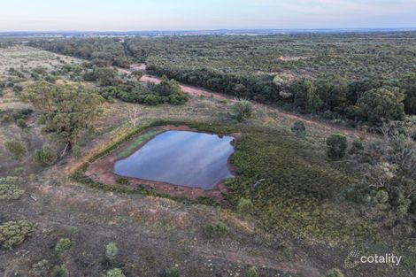 788 Buddigower Rd, Alleena, NSW 2671