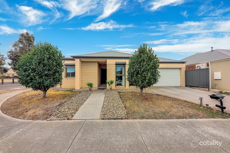 Property photo of 41 Kinglake Crescent Craigieburn VIC 3064