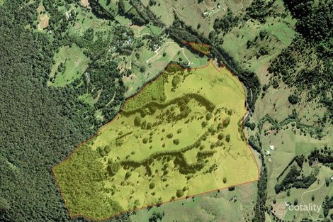 165 Limpinwood Valley Rd, Limpinwood, NSW 2484