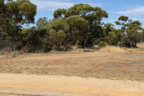 12 Fogarty St, Mingenew, WA 6522