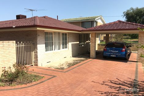 14a Deverell Way, Bentley, WA 6102