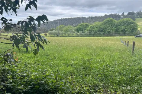 Property photo of 11 Parkside Road Kinglake VIC 3763