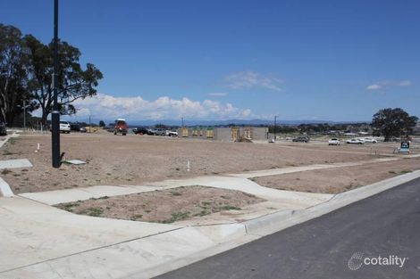 Property photo of 31 Buchan Crescent Forde ACT 2914