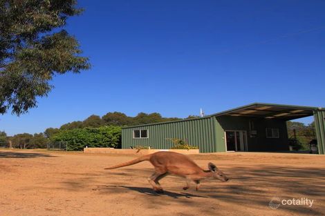 Property photo of 803 Munbinea Road Hill River WA 6521