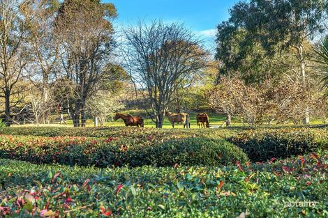 Property photo of 4 Bean Street Dorrigo NSW 2453