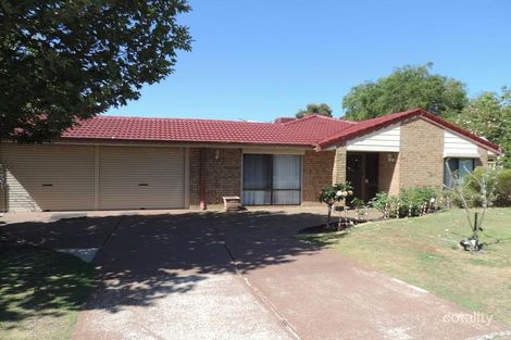 Property photo of 1 Hillock Circle Leeming WA 6149