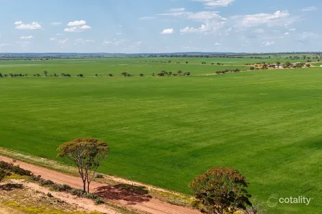 1759 Nungarin-Wyalkatchem Rd, South Kununoppin, WA 6489