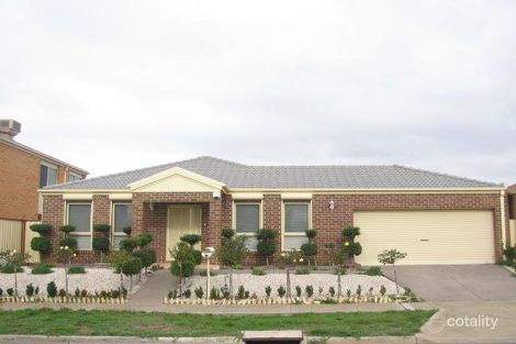 Property photo of 12 Settlers Way Cairnlea VIC 3023