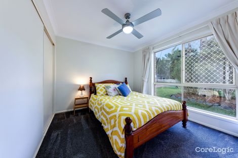 Property photo of 12 Forsyth Place Mooloolah Valley QLD 4553