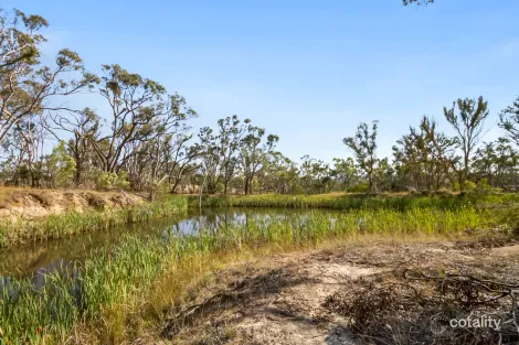 55 PANHANDLE RD, URALLA, NSW 2358