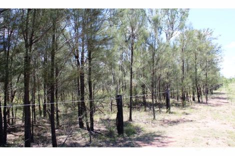 21 Waratah Dr, Morton Vale, QLD 4343