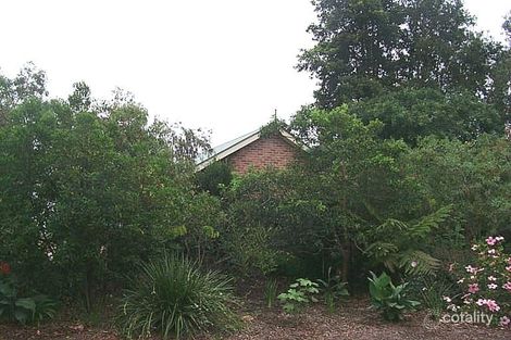 17 Sunset Ridge Dr, Bellingen, NSW 2454