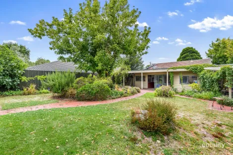 Property photo of 39 Pendle Street Box Hill VIC 3128