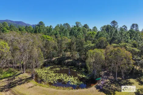 Property photo of 2122 Byfield Road Byfield QLD 4703
