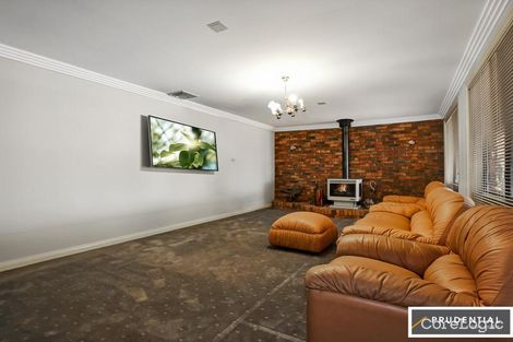 Property photo of 4 Rider Place Minto NSW 2566