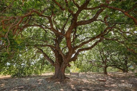 Property photo of 3 Craiglee Close Coromandel Valley SA 5051