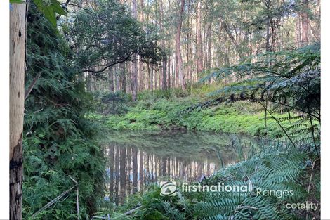 Property photo of 126 Beenak Road Gembrook VIC 3783