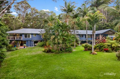 Property photo of 19 Wattlebird Court Currumbin Valley QLD 4223