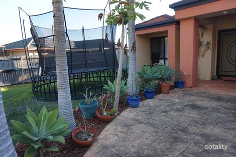 Property photo of 33 Springvale Circuit Underwood QLD 4119