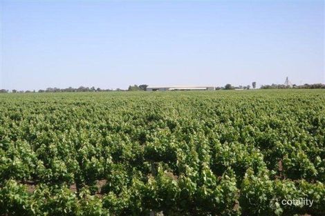 309 Drew Rd, Hanwood, NSW 2680