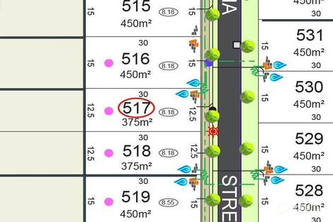 517 Cassinia St, Baldivis, WA 6171