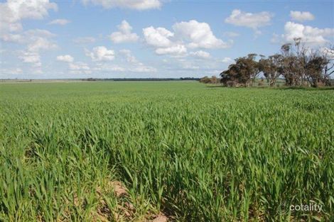 52 Hall Rd, Wadderin, WA 6369