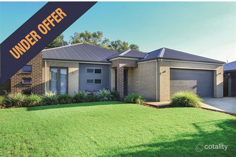 41 Gumnut Ct, East Albury, NSW 2640